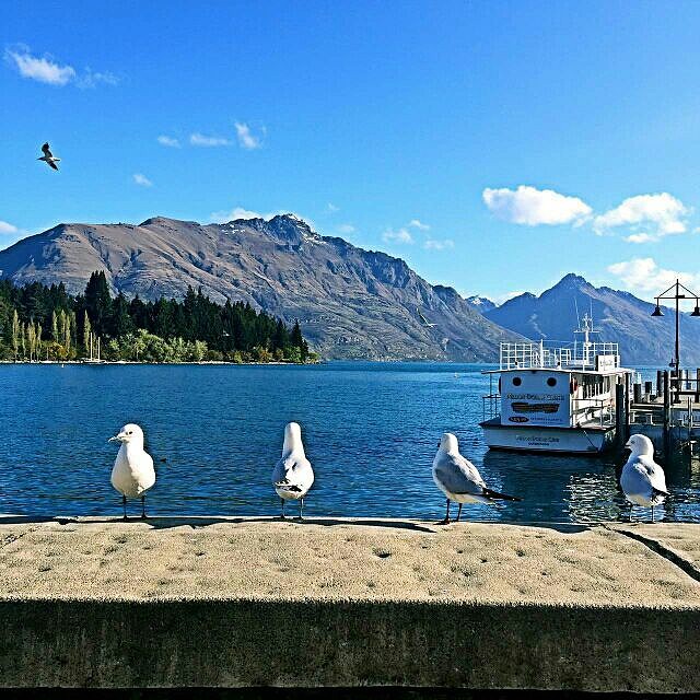 海顺新材(300501.SZ)：累计耗资5995万元回购2.69%股份