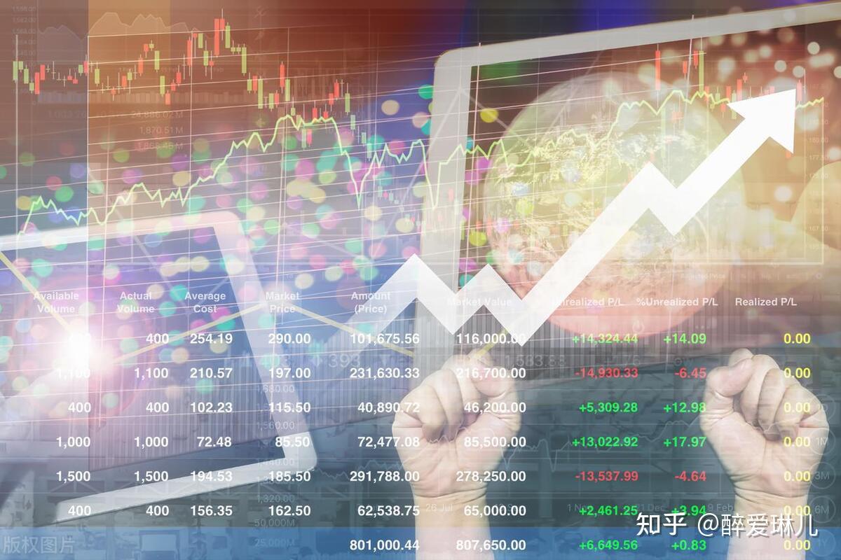 行动教育（605098）2024年中报简析：营收净利润同比双双增长