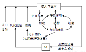 我国科学家提出甲烷介导的氨动力发动机构想
