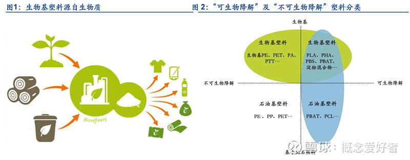 12月16日冰山冷热涨停分析：冰雪产业，体育产业，碳中和概念热股