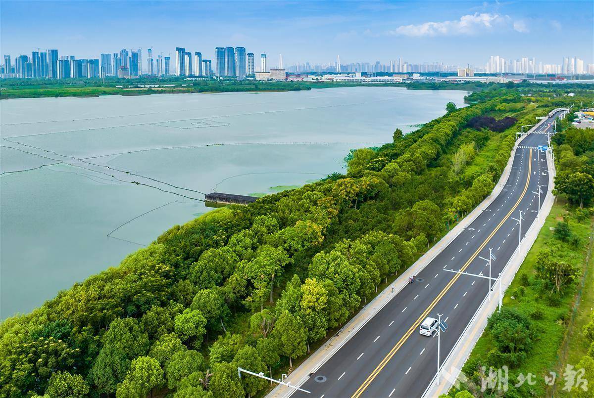 拥有“如意行”驾乘险，出行更顺畅！,人保有温度_2025年全球与中国建筑PVB薄膜行业现状深度分析与发展前景预测