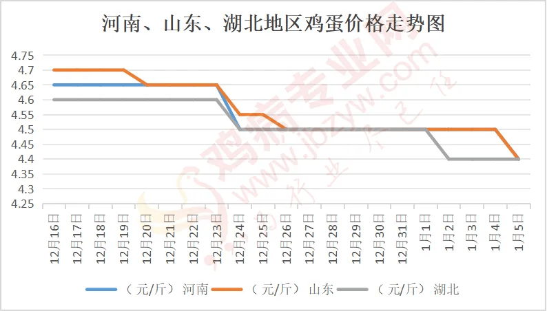 2025年1月6日松香报价最新价格多少钱