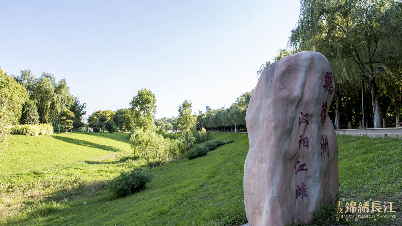 桂林旅游：截止2025年5月30日，公司股东总户数39,205户