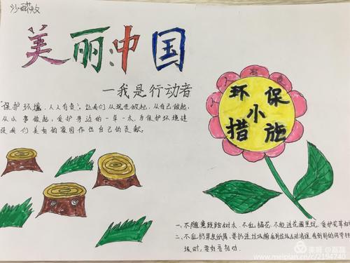 “美丽中国，我是行动者”活动启动，高德地图助力全民低碳生活