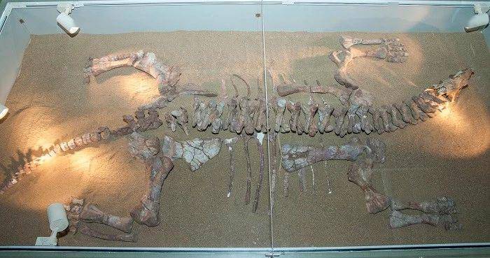 博物馆投资3.5亿元建成后闲置！最新回应：将深入调查并严肃处理！