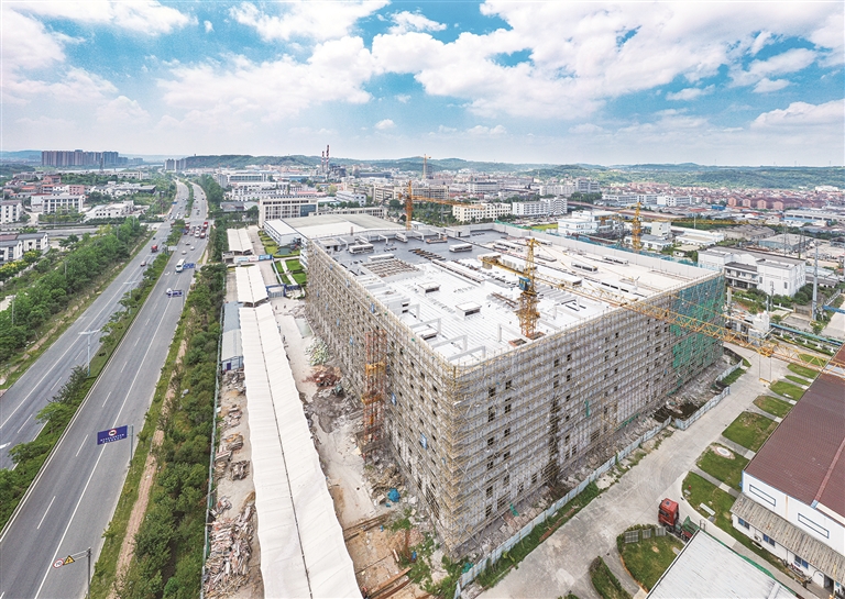 昂利康录得5天3板