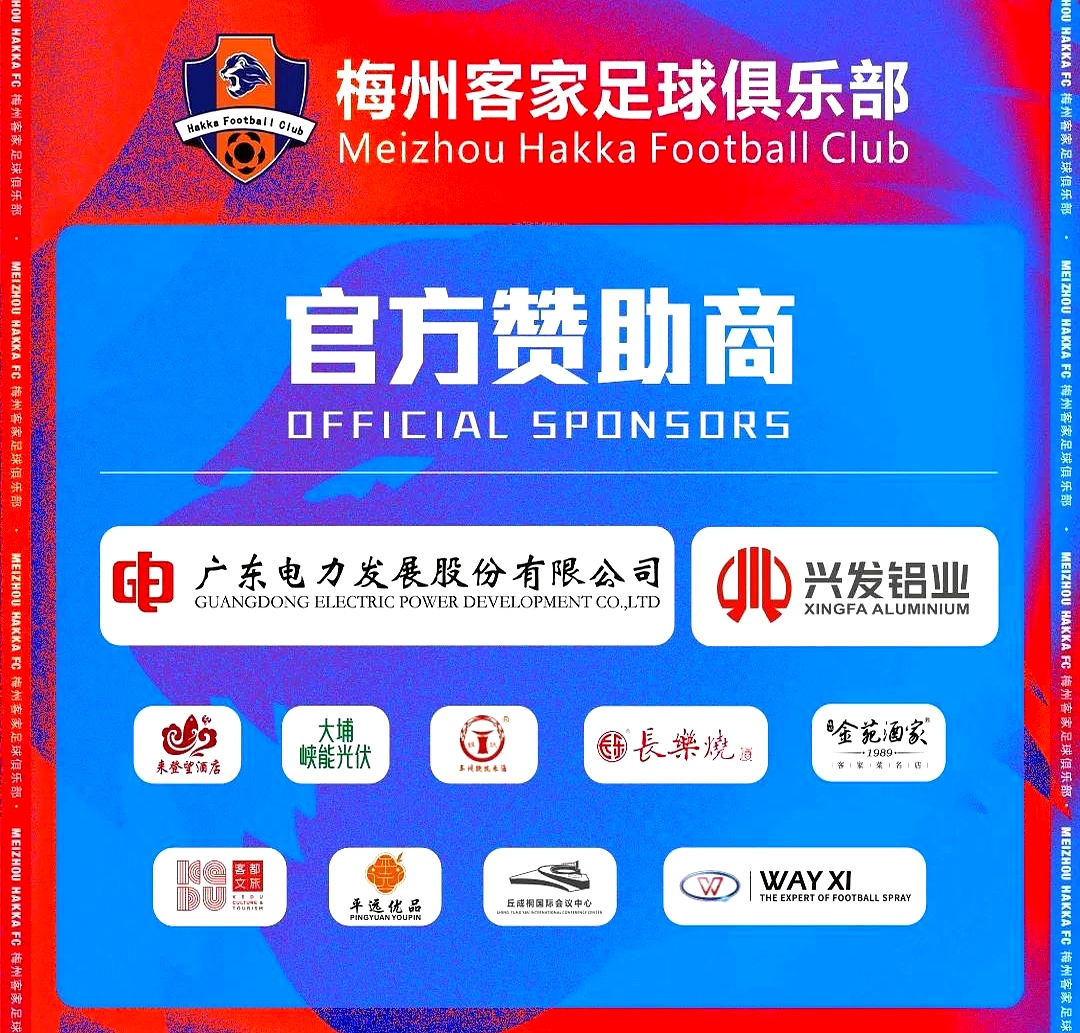 大亚圣象：公司全资子公司圣象集团有限公司是2025年江苏省城市足球联赛镇江队的冠名企业