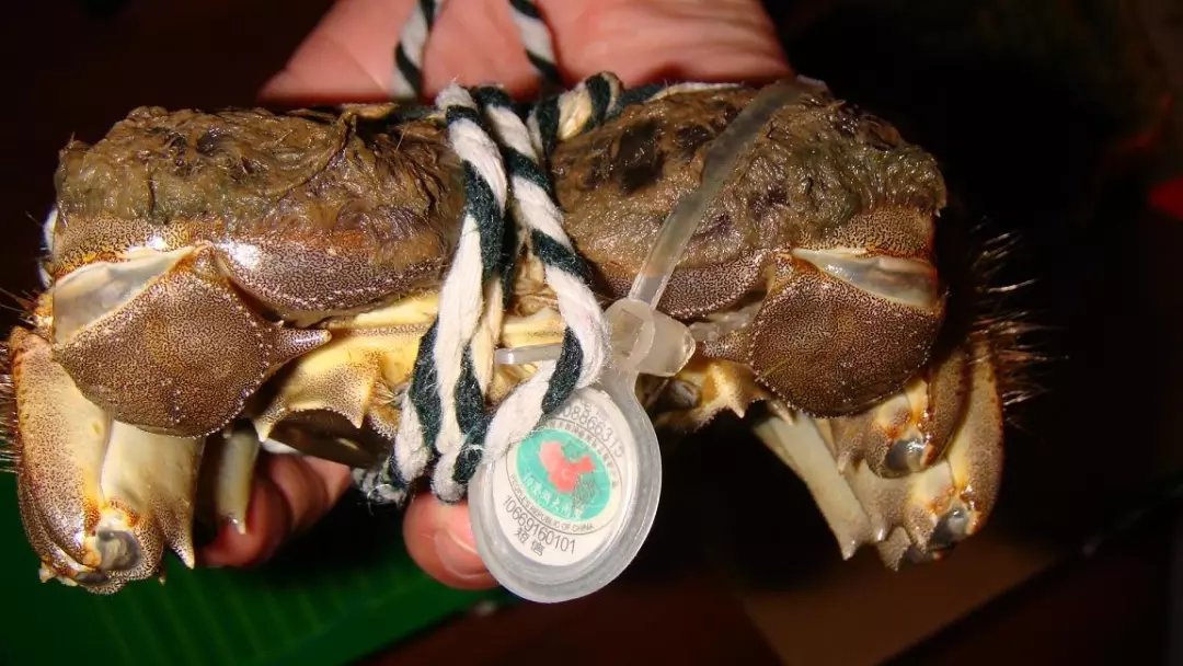 柏星龙获得发明专利授权：“一种内藏式防伪扣”