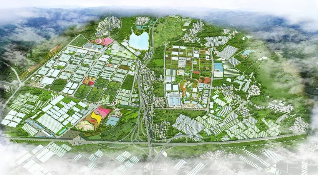 2025年中国绿色食品行业趋势重点：绿色、健康、可持续_保险有温度,人保财险政银保 