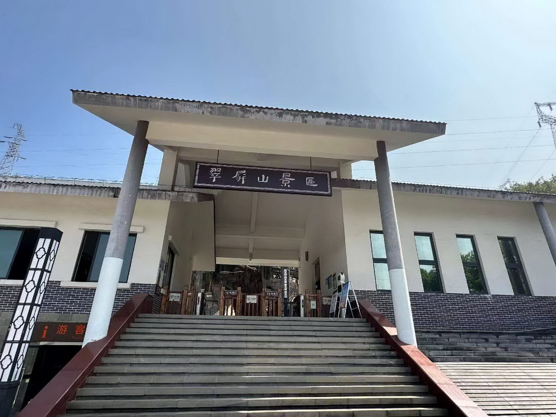 远古鱼龙带来跨越亿年的降噪智慧