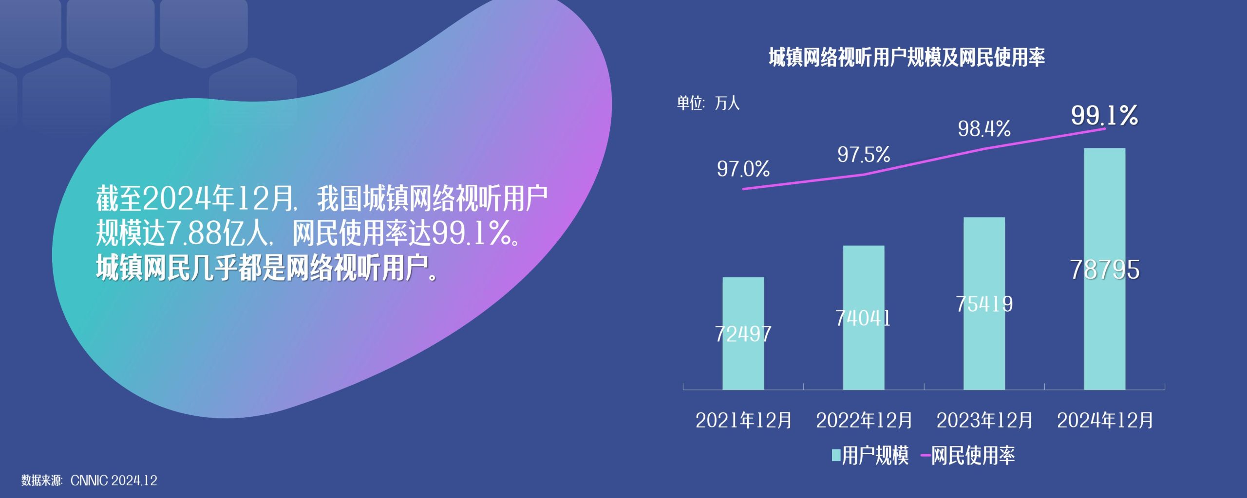 2025年互联网租车行业发展前景预测及投资战略研究_人保车险,人保财险 