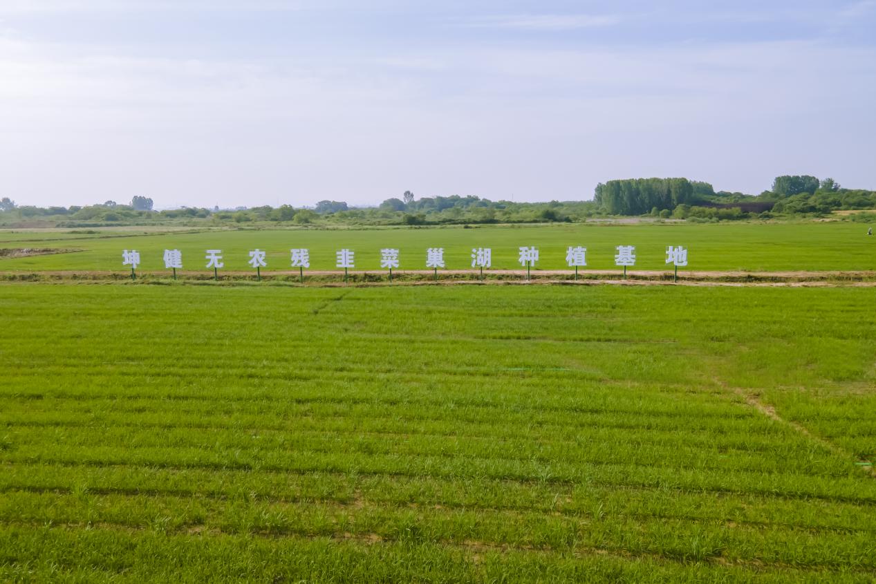 逐“绿”而行 向“新”而兴——能源革命的浪潮奔涌，国神公司站立在潮头