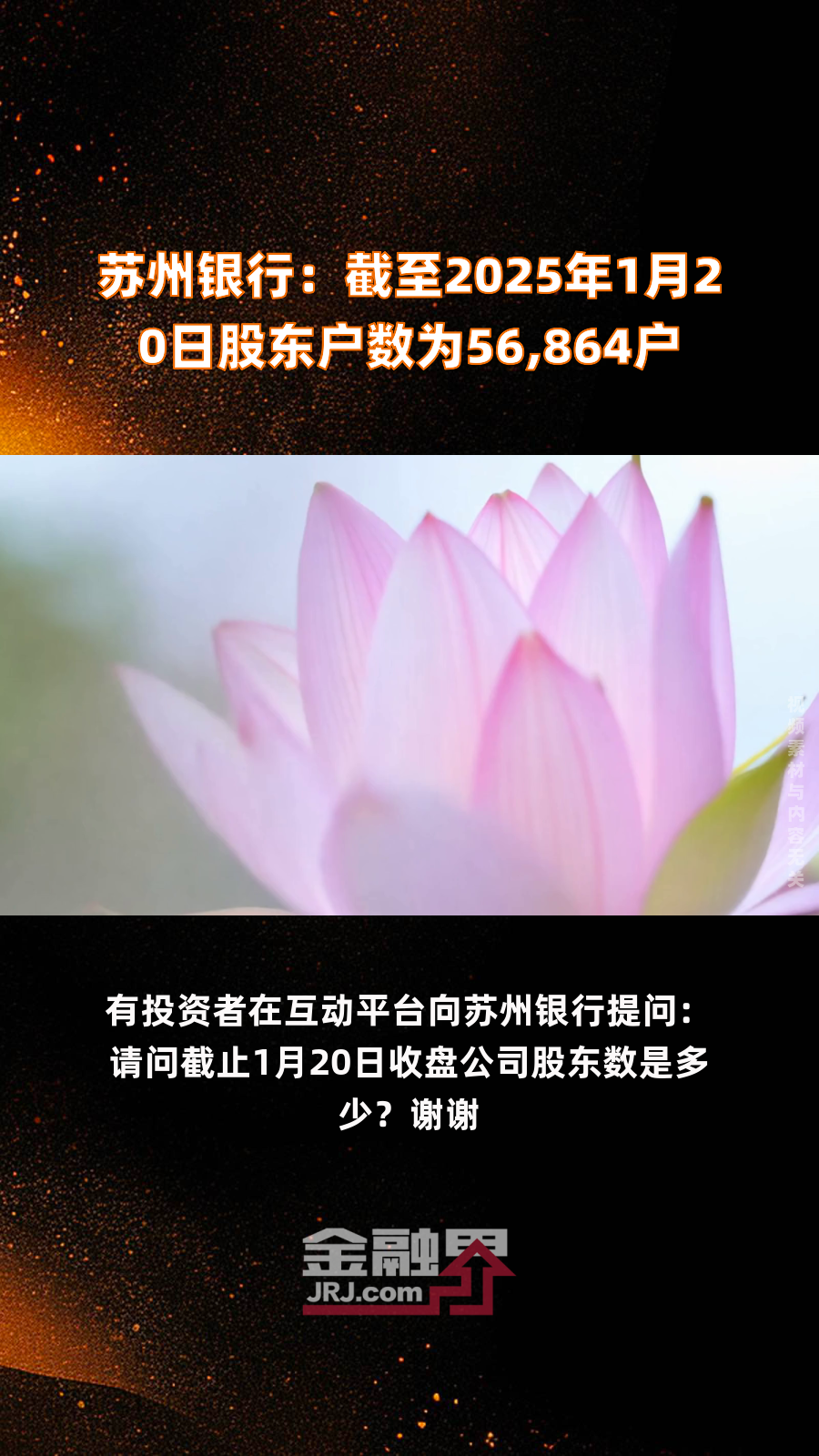 蕾奥规划：截至2025年7月18日股东总户数10,306户