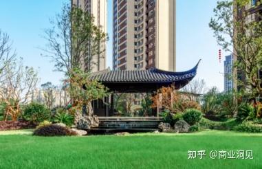 建发致新10月17日龙虎榜数据