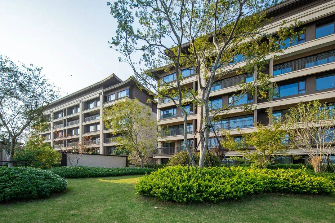 建发致新10月17日龙虎榜数据