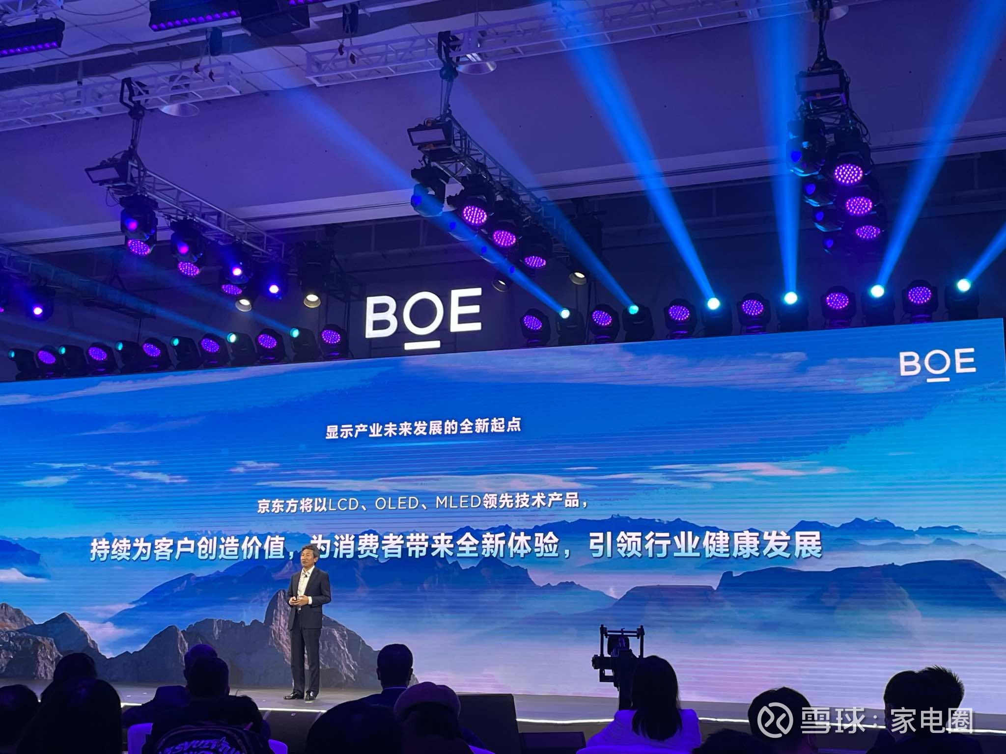 京东方Ａ公布国际专利申请：“显示面板及其驱动方法、显示装置”