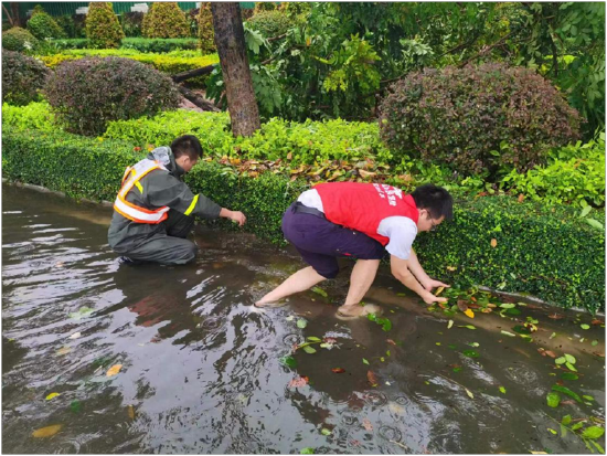 2026城市公交产业：助力城市实现绿色、低碳、智能的发展目标_人保服务,人保财险 