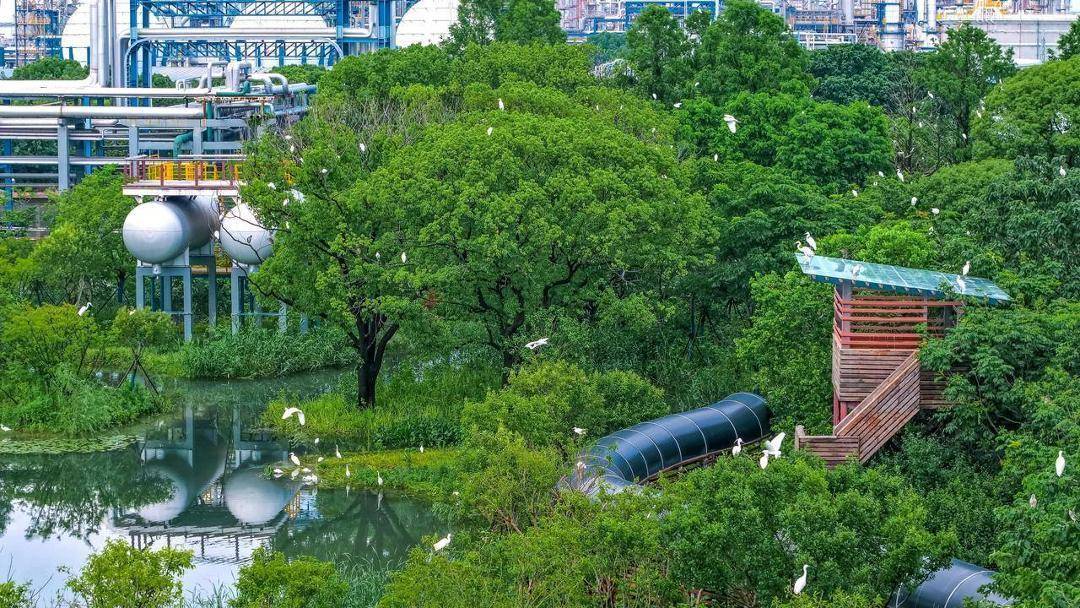 重庆：拟推动数据设施绿电直供，新建算力设施绿色算力资源占比达80%