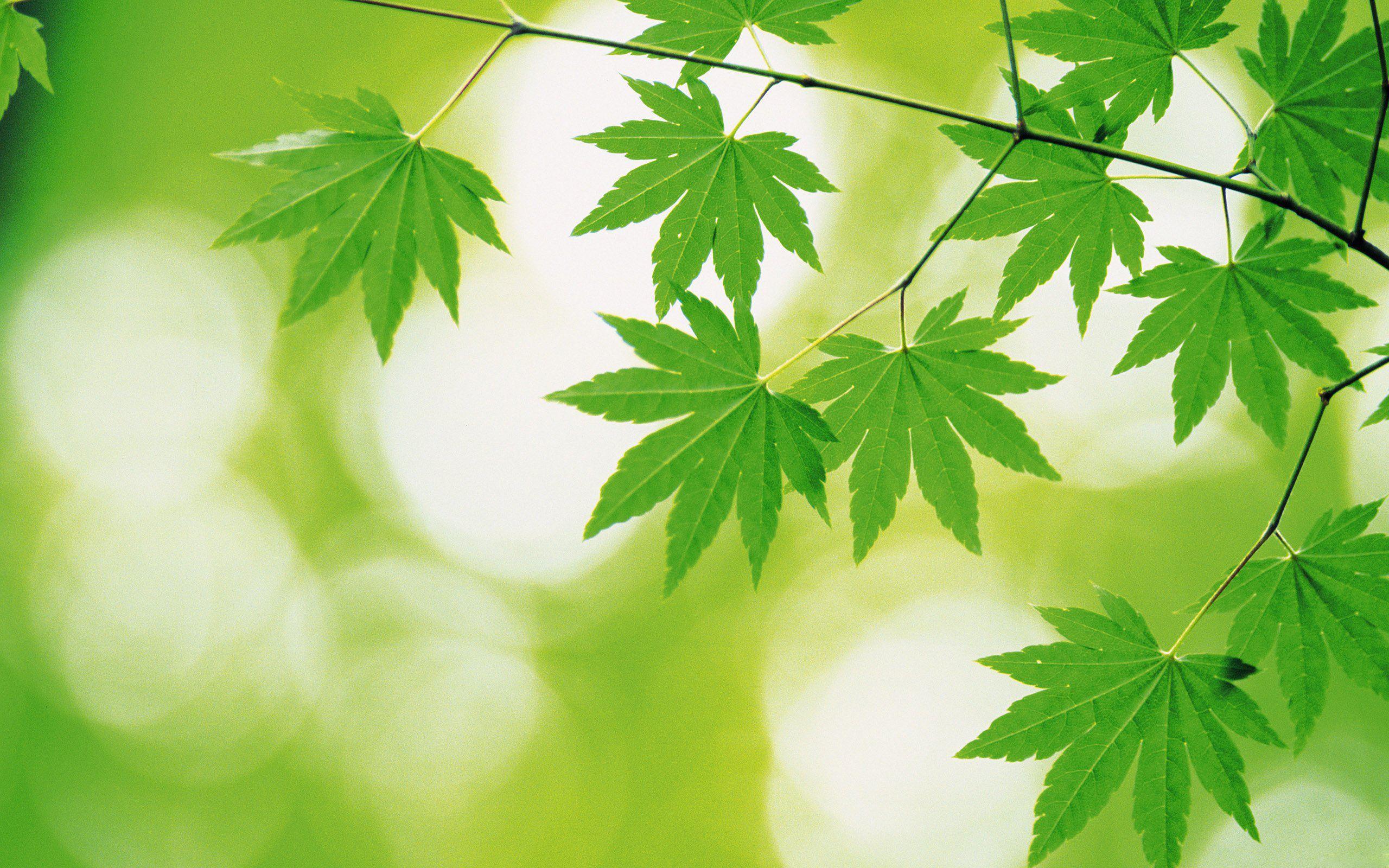 人保伴您前行,人保有温度_2026智慧建造产业：绿色低碳技术成为行业标配