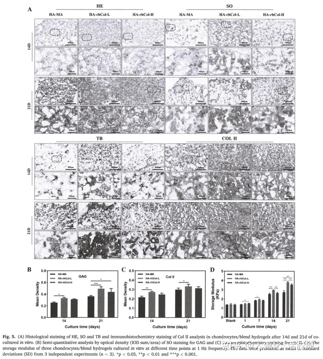 锦波生物获得发明专利授权：“重组III型人源化胶原蛋白在卵巢癌治疗中的用途”