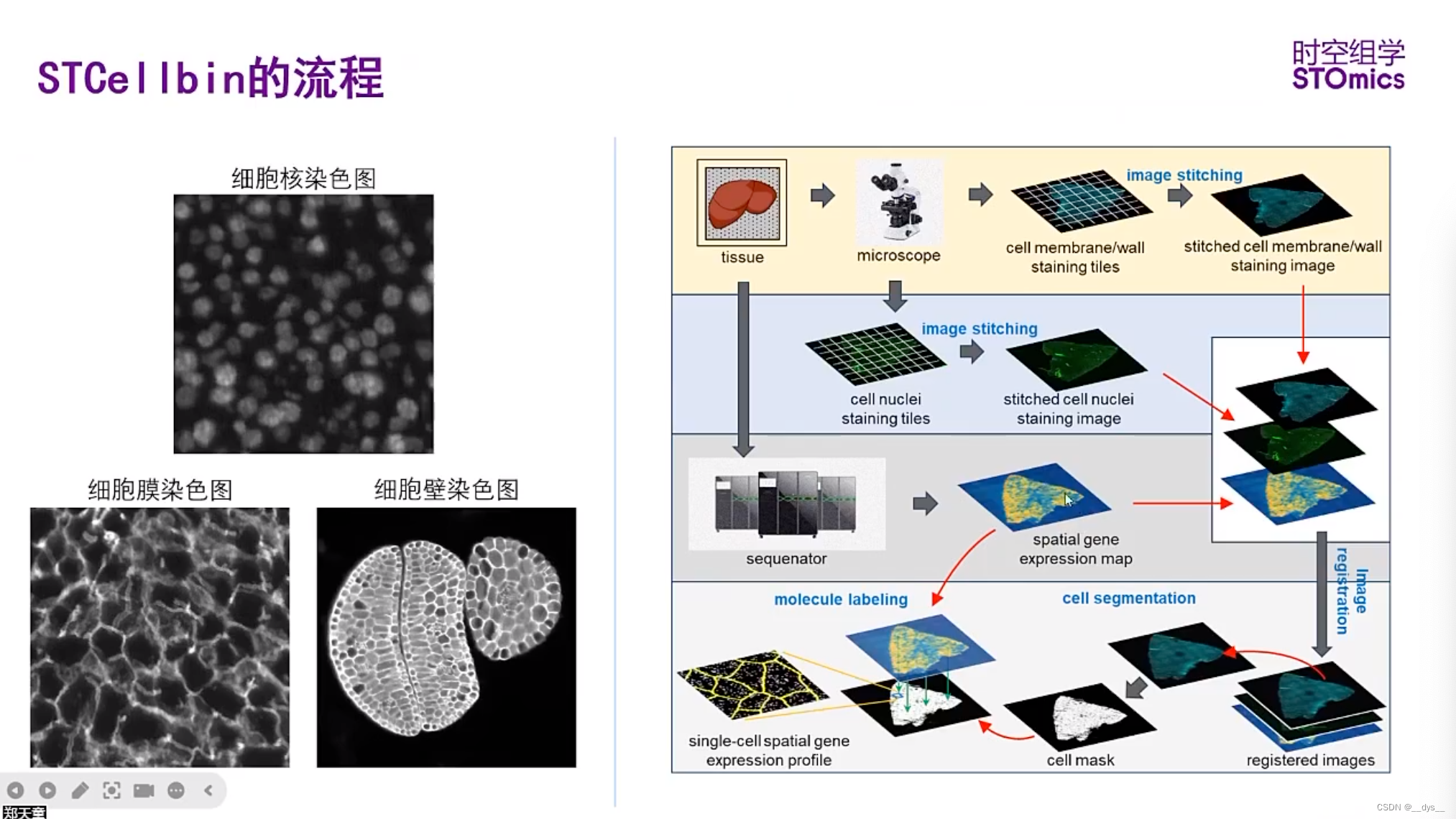 人保服务 ,人保服务_2026中国合成生物学行业:从"活细胞"到"cell-free"