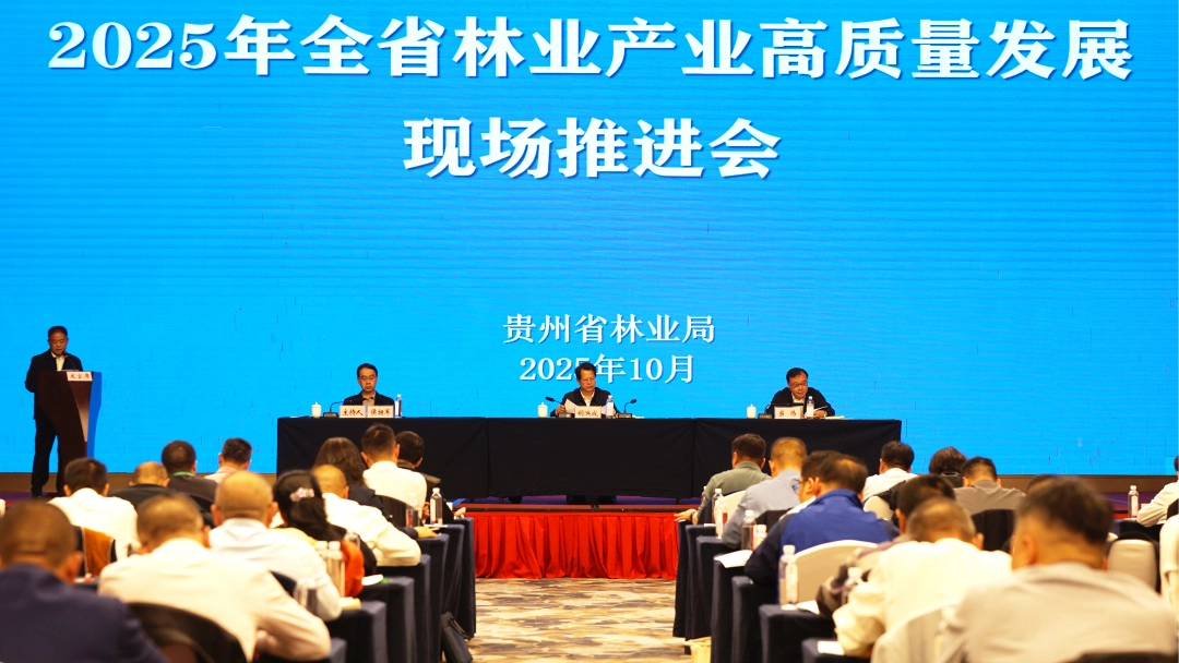 上交所发布债券质押式协议回购通知 扶优限劣促进市场高质量发展