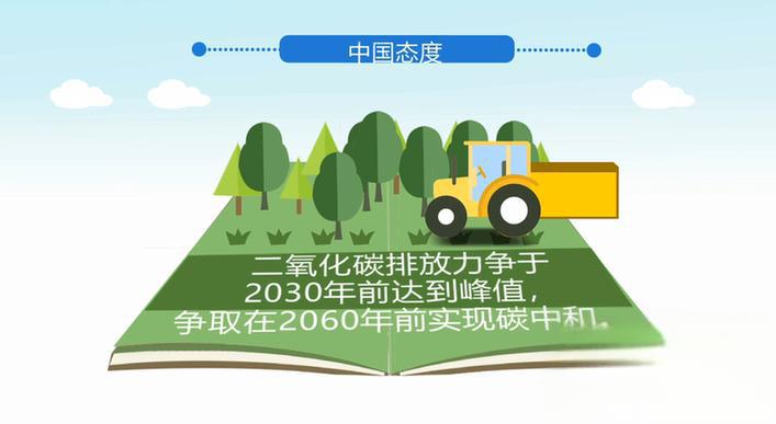 2026中国煤制甲醇行业:是国家能源战略和工业发展的重要一环_人保伴您前行,人保有温度