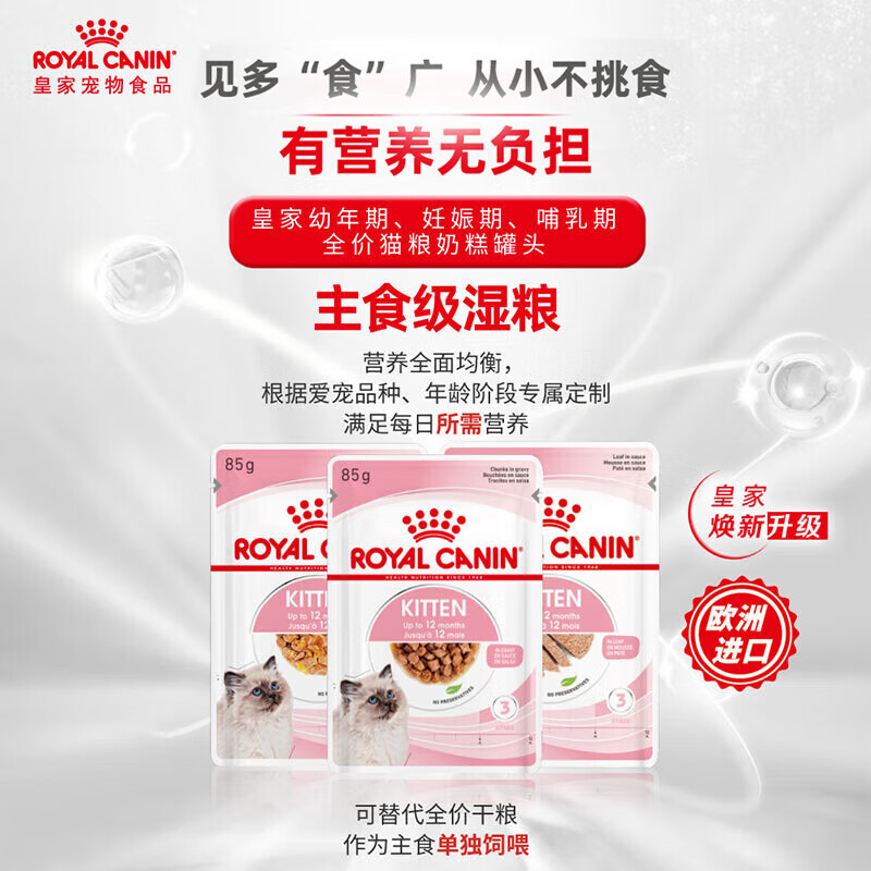 2026宠物罐头行业深度调研及规模、未来趋势分析_人保车险 品牌优势——快速了解燃油汽车车险,人保服务