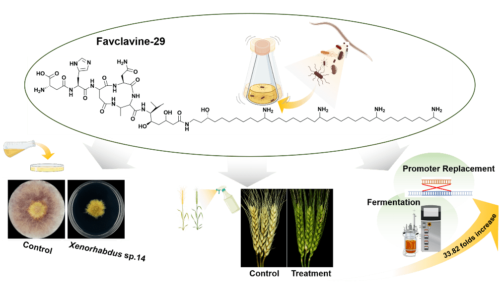 润和软件新注册《基于AI微生物指纹识别系统V1.0.0》项目的软件著作权