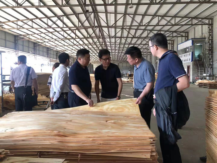 《北部湾经济区开放发展规划》公开征求意见：谋划建设北部湾大宗商品资源配置枢纽