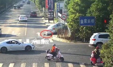 突发!688033、603255,被证监会立案