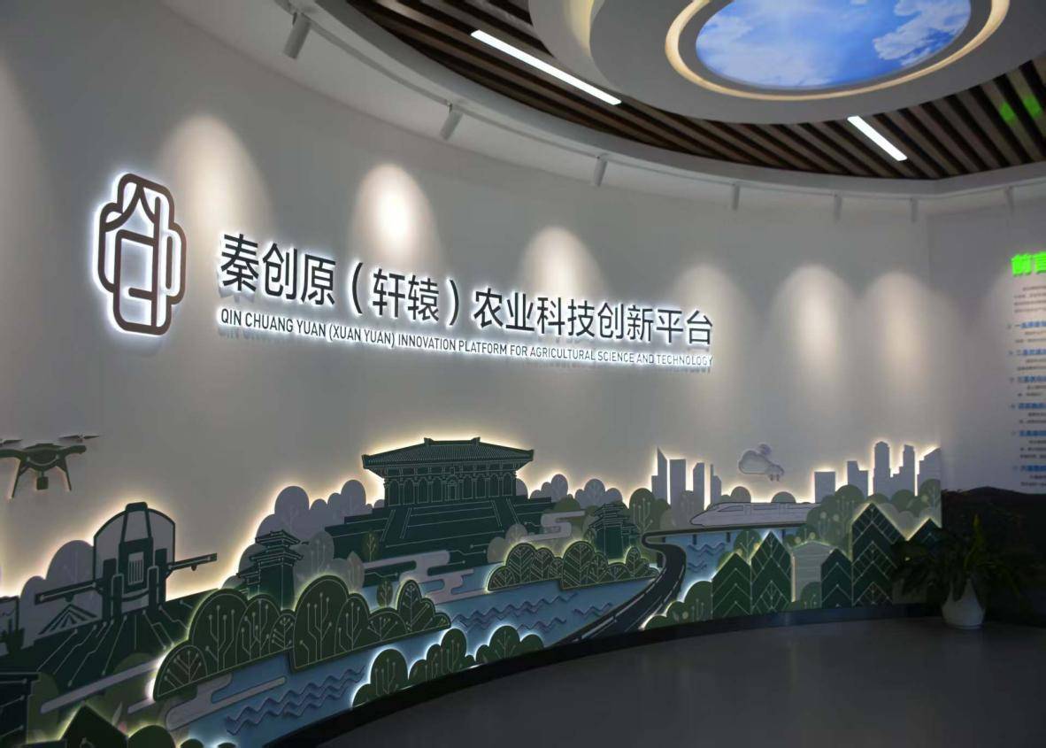 活力中国调研行丨脑机接口走近你我生活